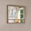 Miroir de Zuzanna