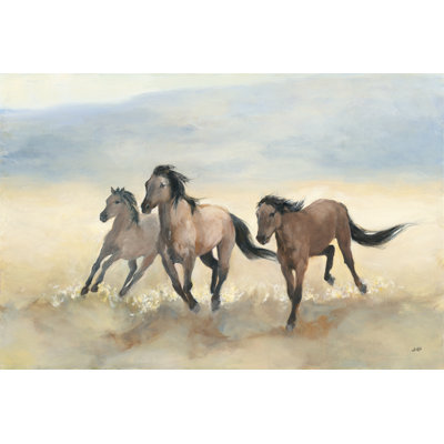 Mustangs sauvages