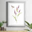 Wildflower Botanical IV - Cadre photo, reproduction d'art sur papier-1092428129-1092428130