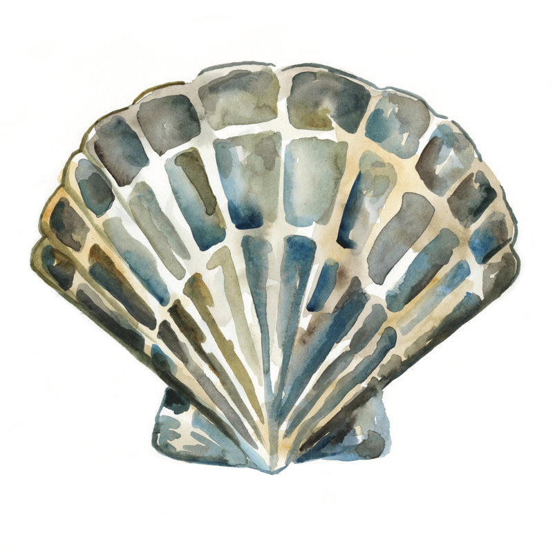 «Aquarelle Shells IV», peinture sur toile, H 12 po x l 12 po, Toile tendue