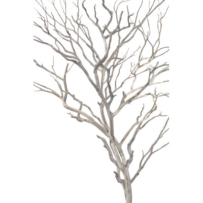 Enfolding Branches Print by David Brown