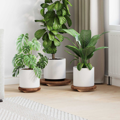 Plant Stand