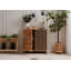 Annamaria 2 - Door Standard Accent Cabinet