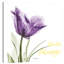 Smile Always Tulip - Wrapped Canvas Print-346346268