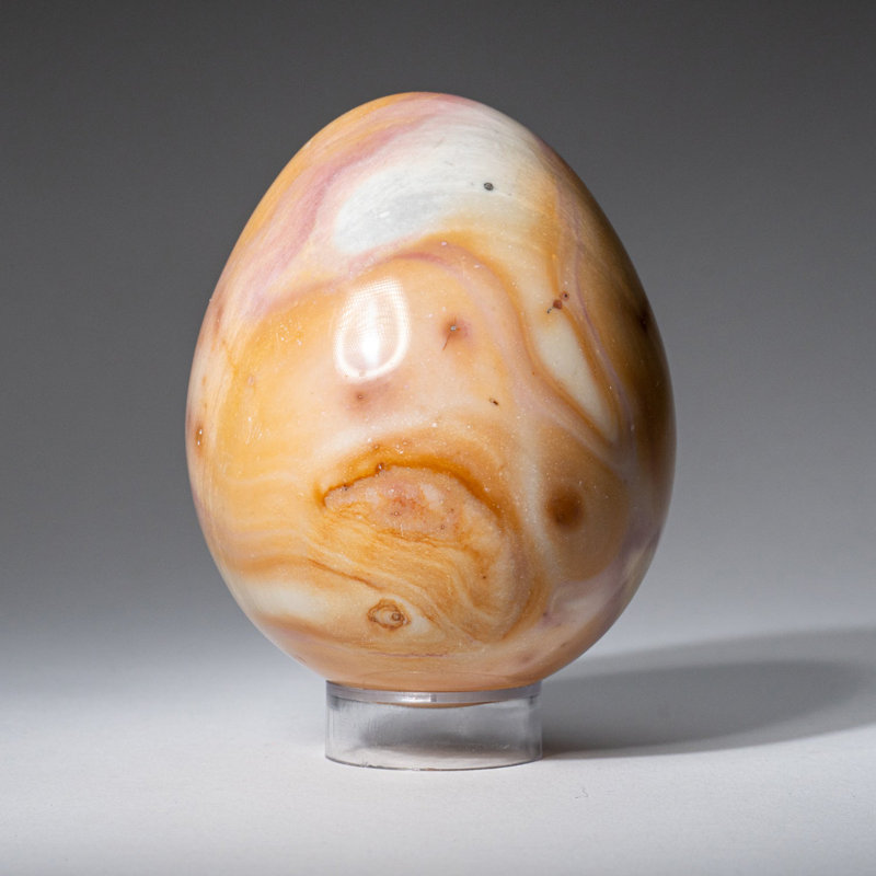 Véritable œuf polychrome poli de Madagascar (1,3 lb)