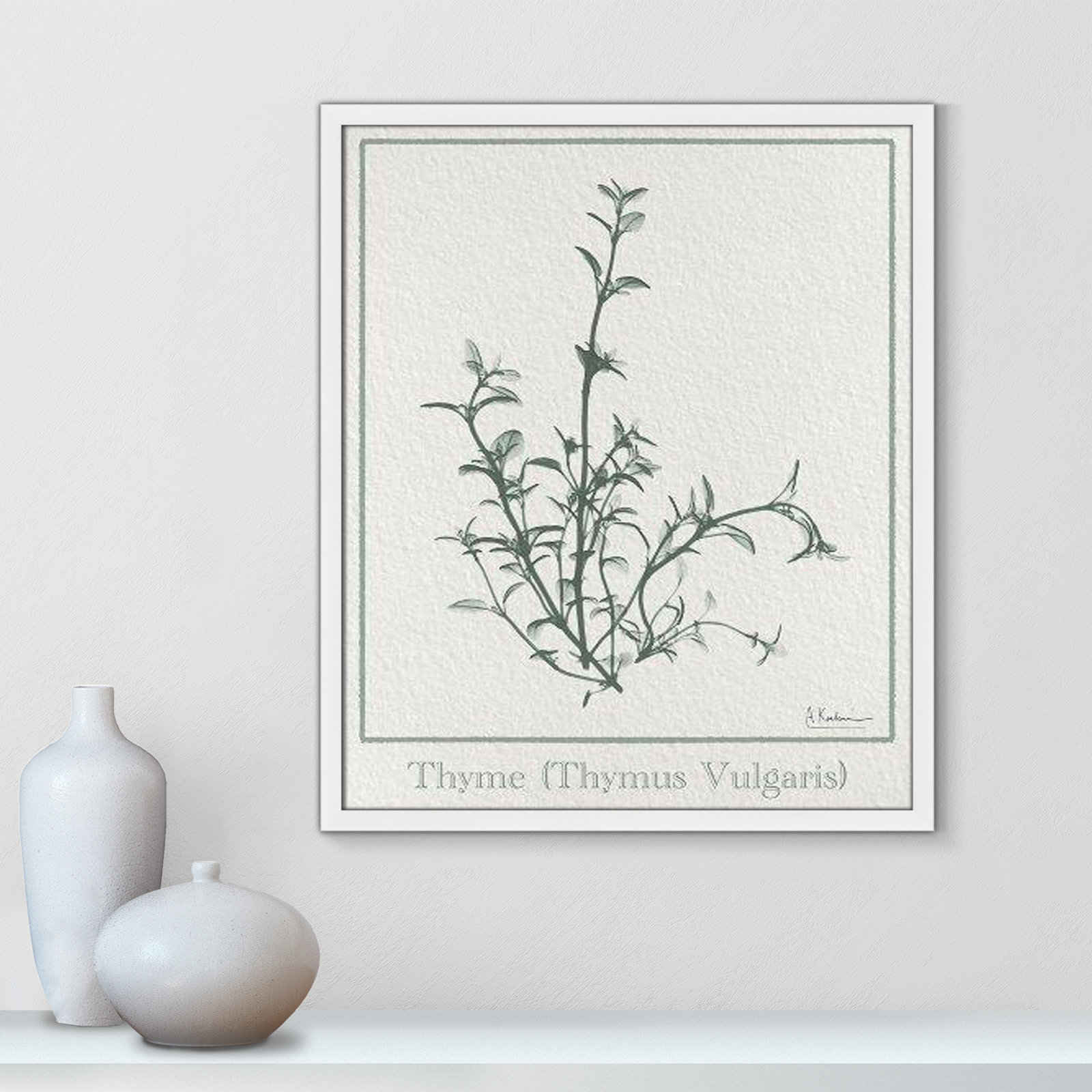 Jeanette "Thymus Vulgaris" Print, 25.5" H x 21.5" W x 1.25" D, Satin White Framed Paper