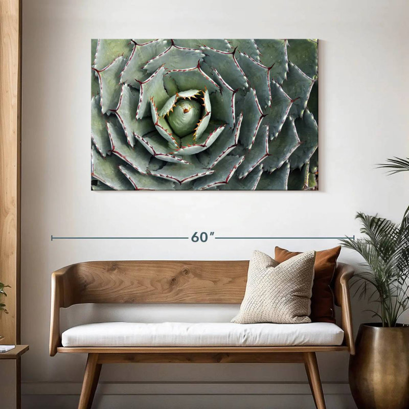 Harnek Thorny Succulent, 30" H x 45" W
