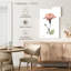 Hibiscus Harnek I-108484717