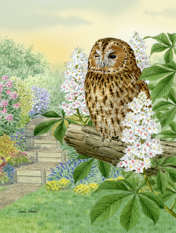 Drapeau de jardin Berryhill Tawny Owl