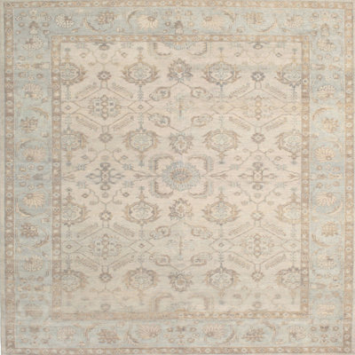 Drouin Oriental Indoor Rug
