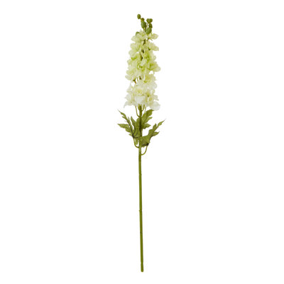 Anastasija Arrangement