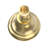 Formosa Shower Head, Polished Brass-121869647
