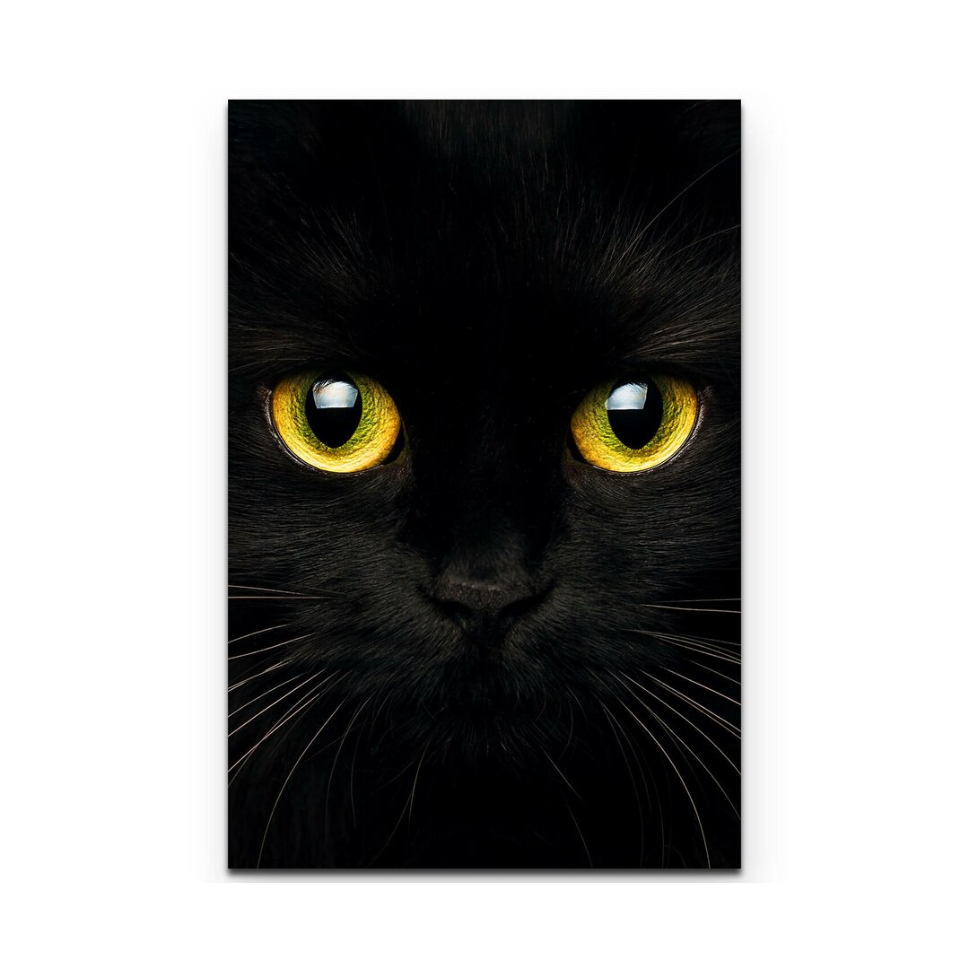 Leinwandbild Schwarze Katze – Nahaufnahme