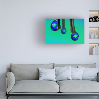 Bolog Gordon Semmens Glofish In A Drop 1 Canvas Art