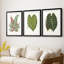 Feuilles de collection IV - impression encadrée sur mesure de qualité supérieure - 3 pièces-92255237-92255242