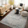 Oriental Area Rug