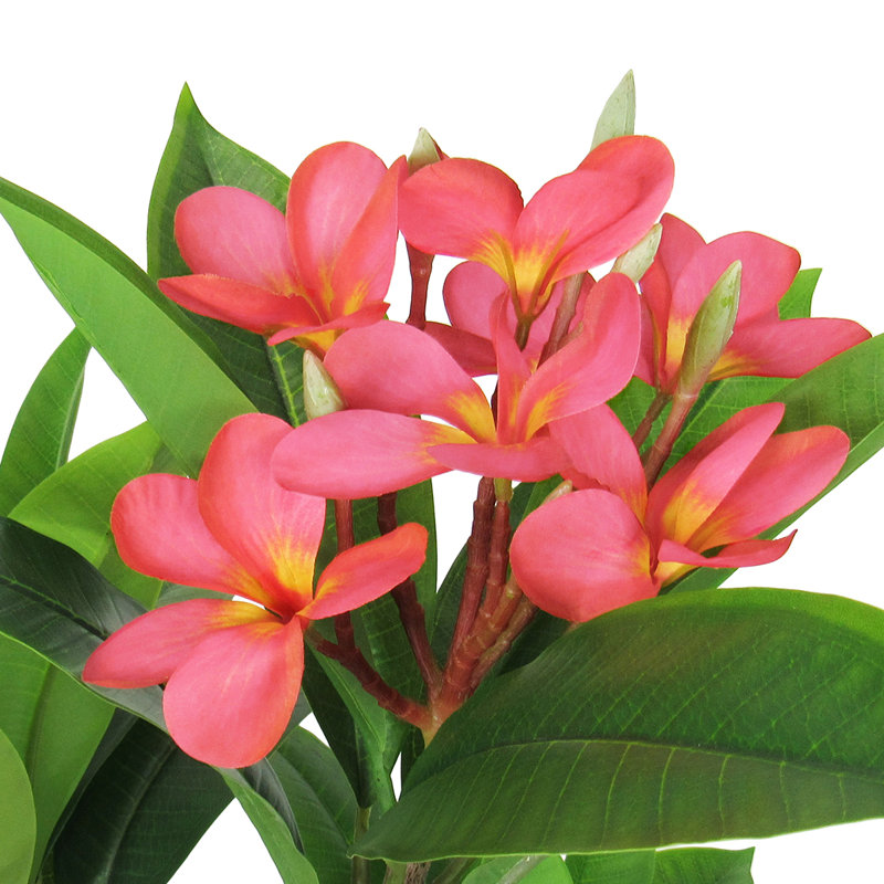 Plumeria artificiel 27 po en pot