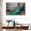 Élégant paon bleu sur toile-2034608566