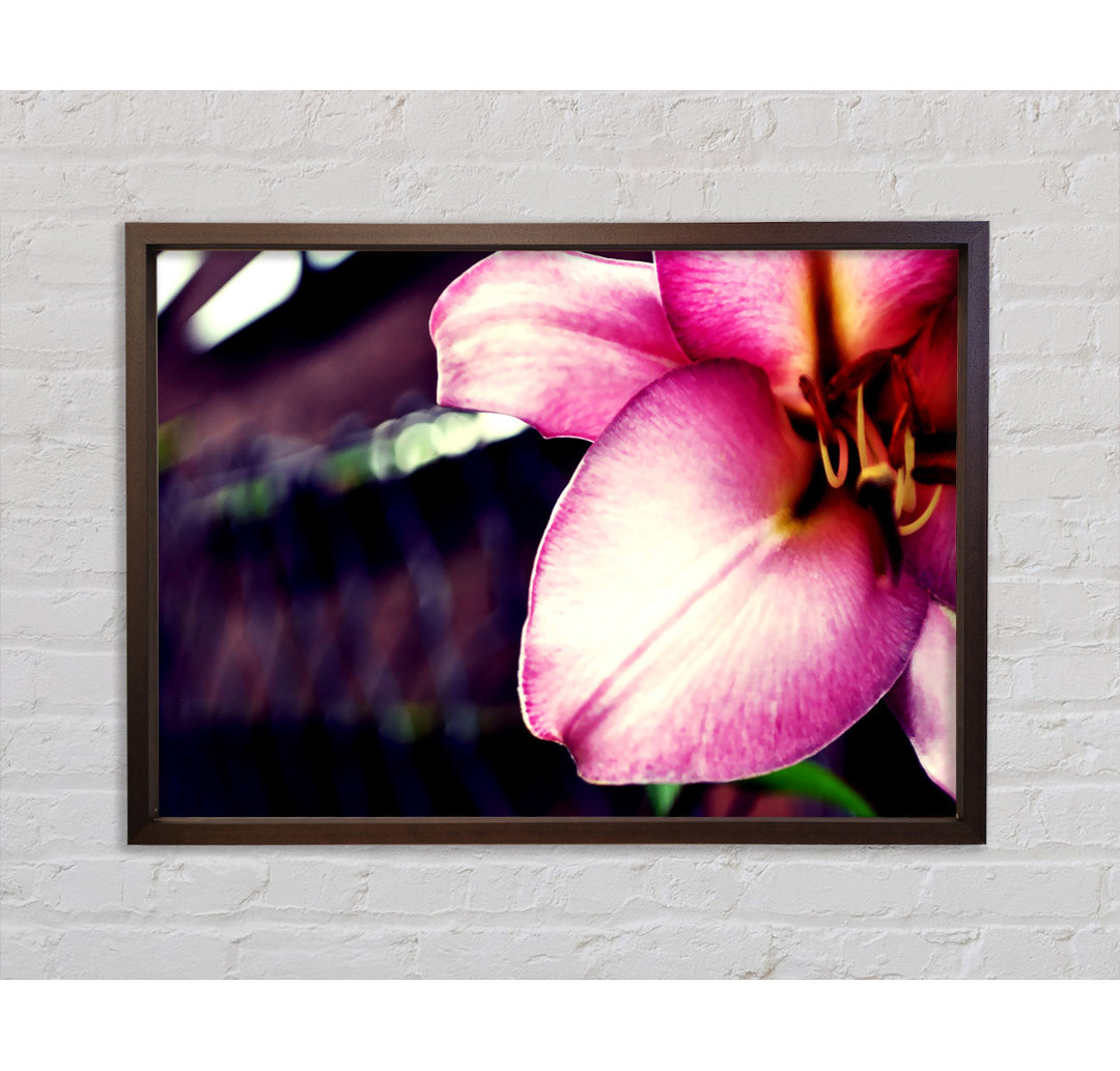 Close_Up Of A Petal - Single Picture Frame Kunstdrucke auf Leinwand