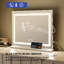 Iron Rectangle Freestanding and Wall Vanity Mirror with Shelves