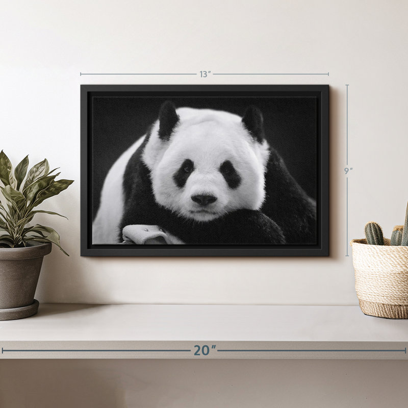 Reproduction sur toile Panda noir et blanc, H 9 po x l 13 po