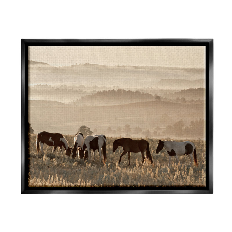 «Ba-316-Floater Horses Grazing Rolling Hills», reproduction encadrée sur toile par Danita Delimont