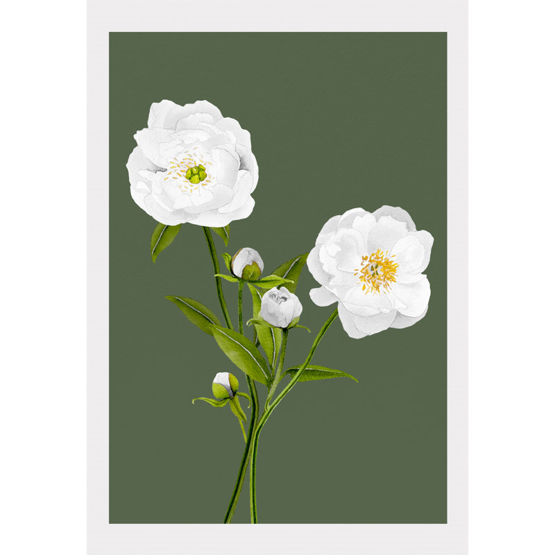 Reproduction d'art: pivoines blanches sur olive, H 19 po x l 13 po