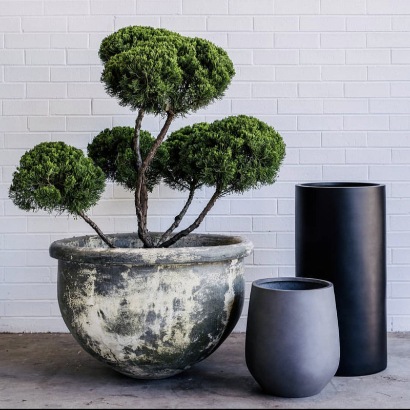 Pot de fleurs en pierre Paes, Noir, H 19,7 po x l 10 po x P 10 po