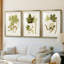 Feuilles antiques IV - impression encadrée sur mesure de qualité supérieure mate - 3 pièces-278011191