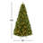 9' Pre-Lit Artificial Wyoming Pine Tree with Multi-Function LED Lights