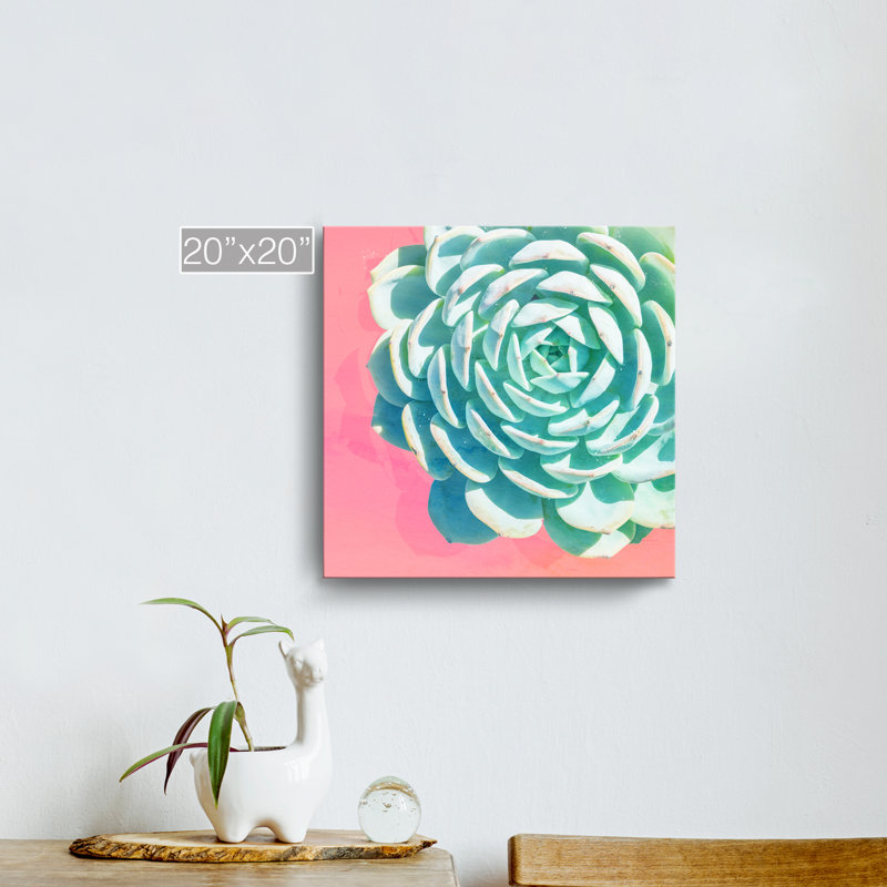 « réveil ii », impression sur toile succulent, H 10 po x l 10 po x P 1,5 po, Toile tendue