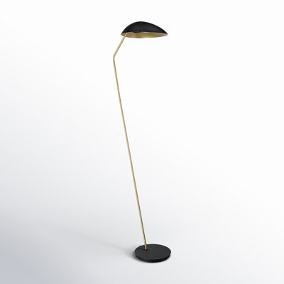 Asha 64'' Floor Lamp