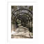 «Nihan Shadow Garden» par Shot par Clint Wood, reproduction d'art encadrée-2074535456-2074535487
