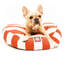 Coussin vertical pour animaux-19353684-19353711