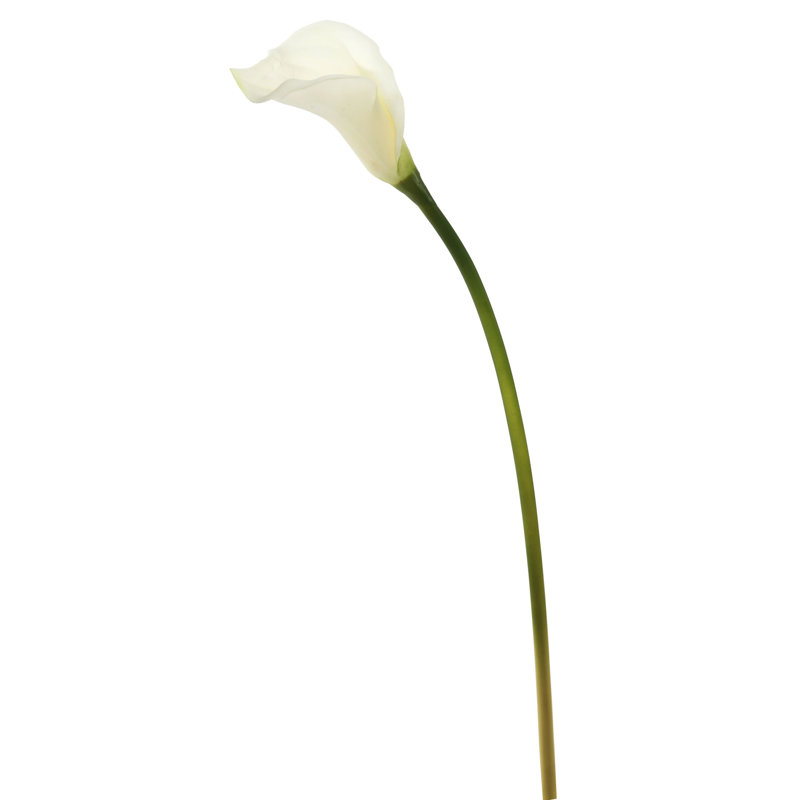 Cauldwell 26" Artificial Calla Lily Stem
