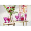 Boston Berry Water Goblet