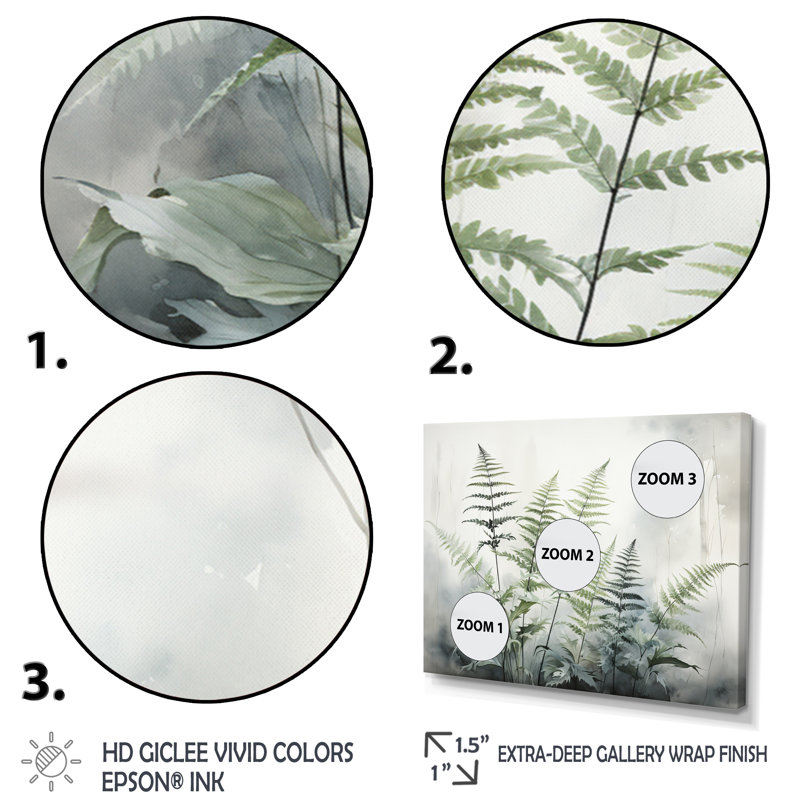 Ferns Silver Whispers II - fougères, impressions sur toile, H 24 po x l 32 po x P 1 po, Toile tendue