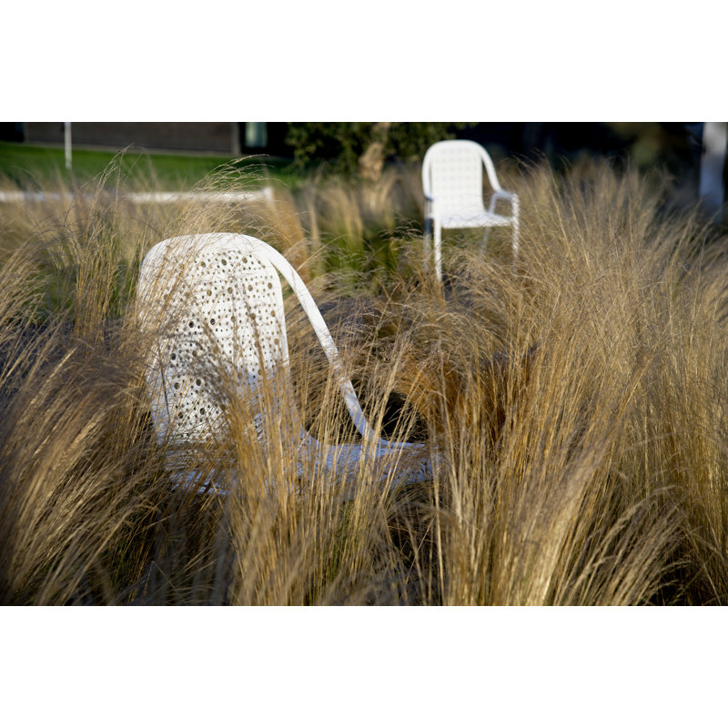 Tline Outdoor Lounge Chair, White
