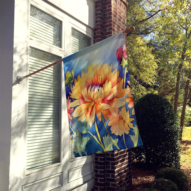 Chrysanthèmes dans un drapeau de maison aquarelle