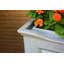 Baril d'eau de pluie 45 gallons Savannah-36303526