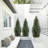 Artificial Cedar Tree