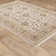 Atherine Oriental Indoor Rug