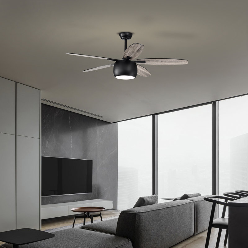 Ahuviel 52'' Ceiling Fan with LED Lights