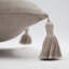 Cushion