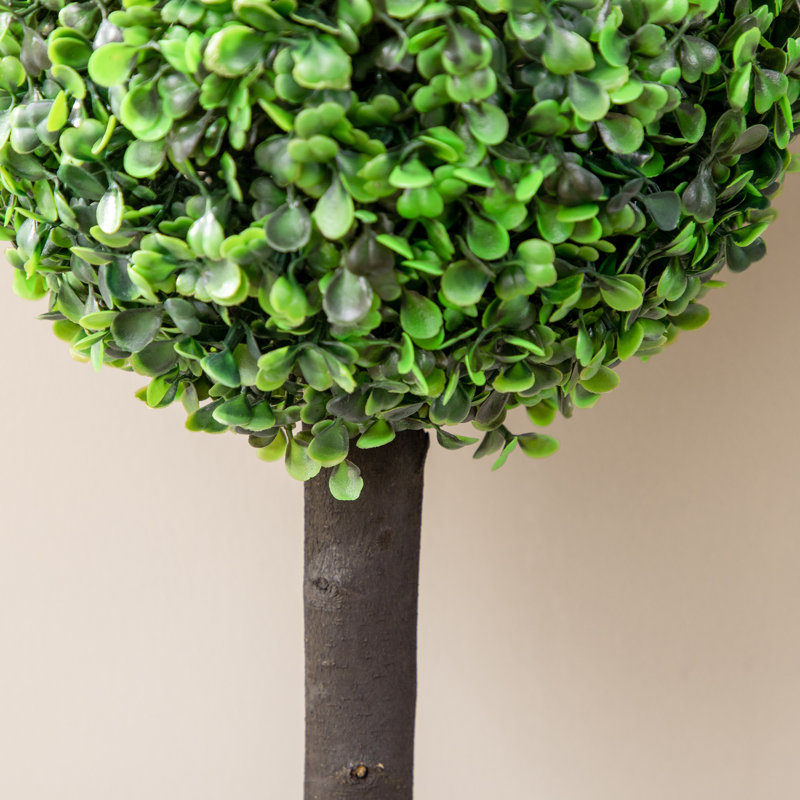 60cm Faux Boxwood Tree in Pot