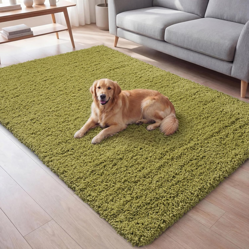 Galaxy Area Rug, Green, 120 x 170 cm