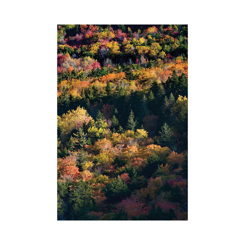 USA, Maine. Autumn Foliage Viewed from Atop the Bubbles Near Jordan Pond, Acadia National Park 1 Piece Wrapped Canvas Wall Art
