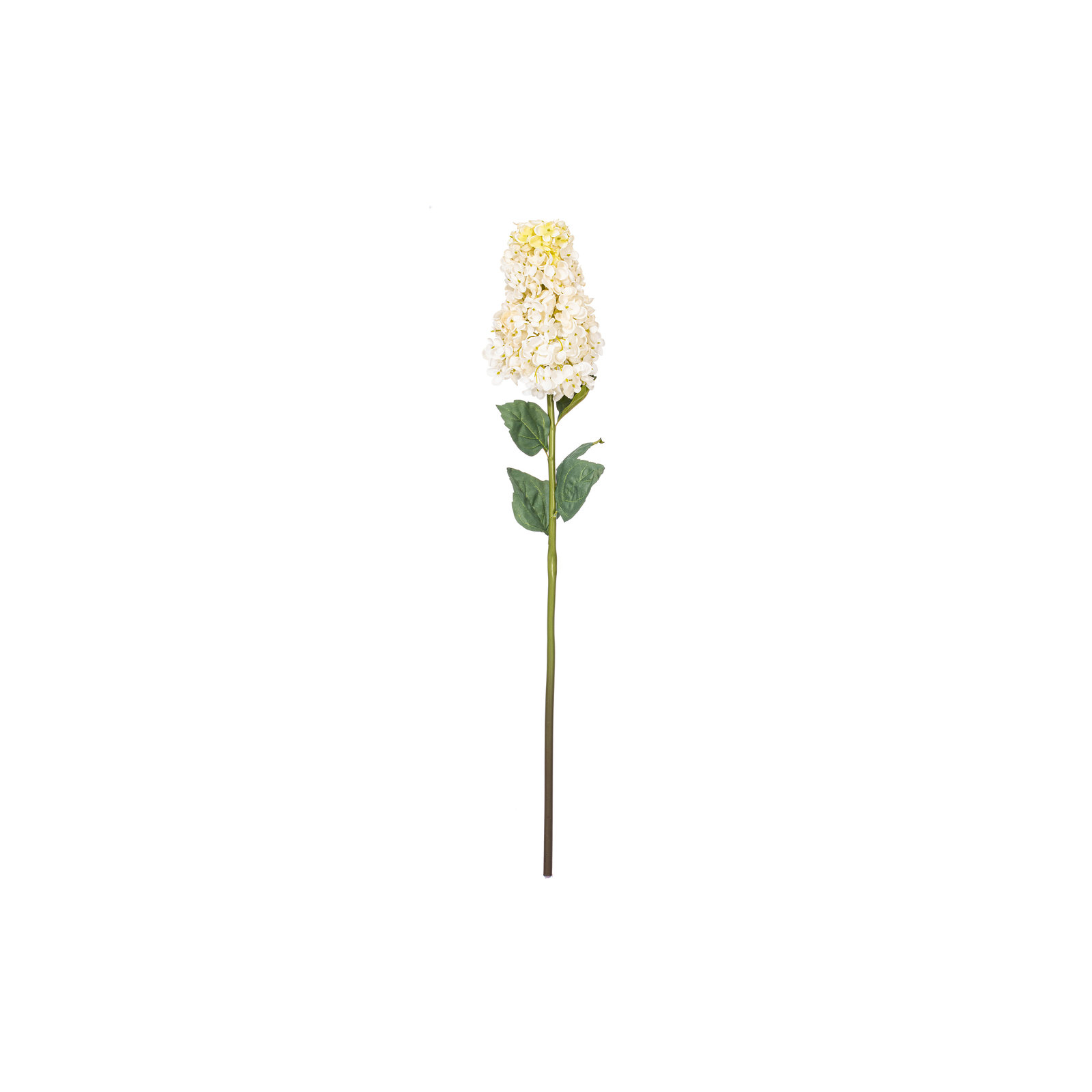Hydrangea Stem, White