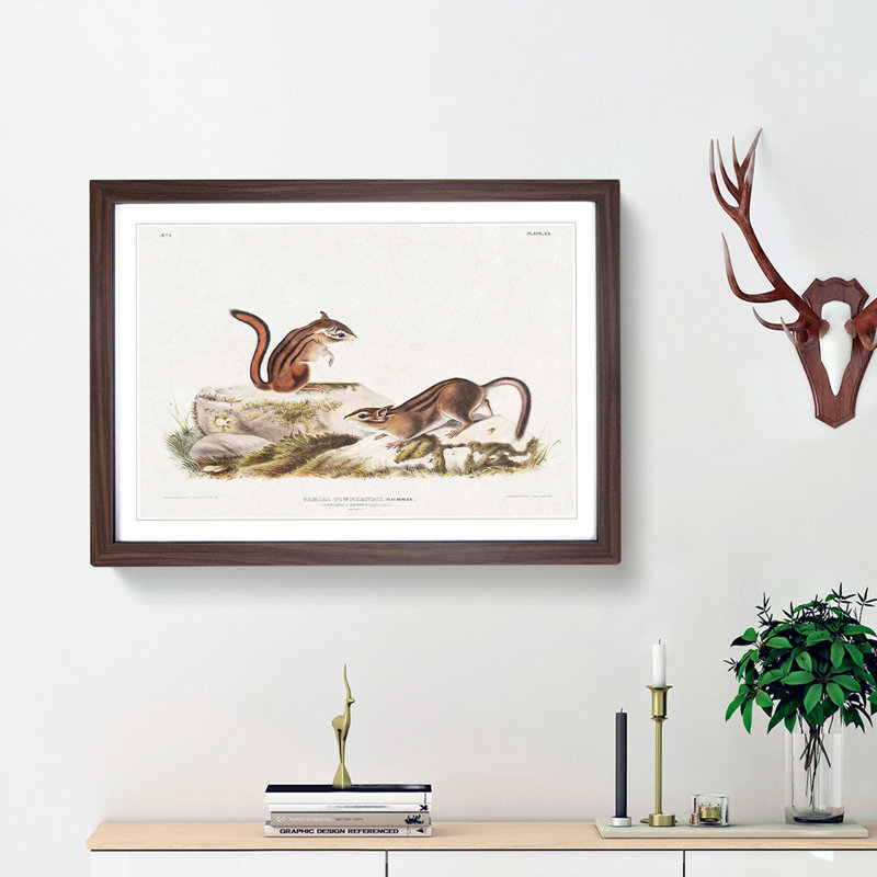 Ground Squirrels by J.W. Audubon - Picture Frame Painting Print, 27cm H x 36cm W x 2cm D, Walnut Framed