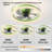 Ceiling Fans With Lights Dimmable LED Embedded Installation Of Thin Modern Ceiling Fans(Purple)-92951168